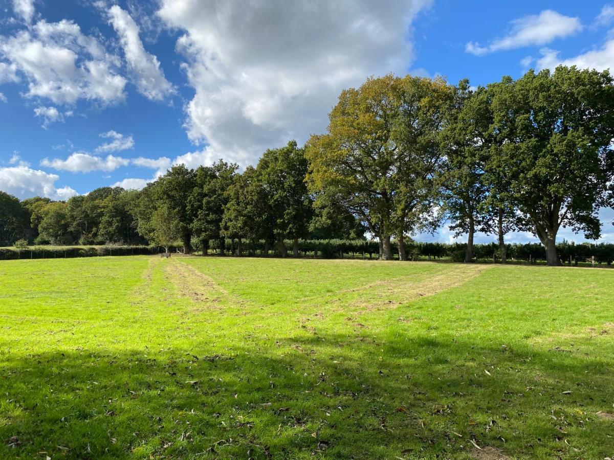 فيلا The Hop Barn Staplehurst المظهر الخارجي الصورة